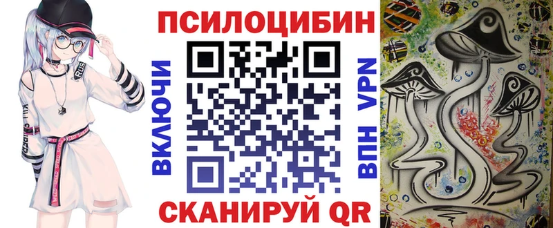 купить  сайты  Катав-Ивановск  MEGA как войти  Галлюциногенные грибы Psilocybe 